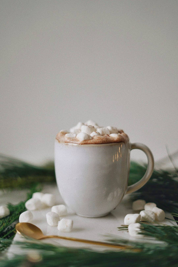 Cacao Mylk with Chaga Mushrooms