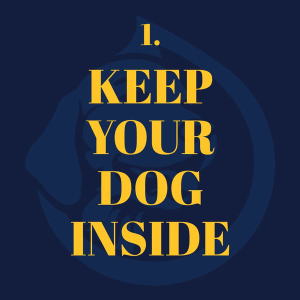 ALPHA | DROP for Dogs - Full Spectrum Oil