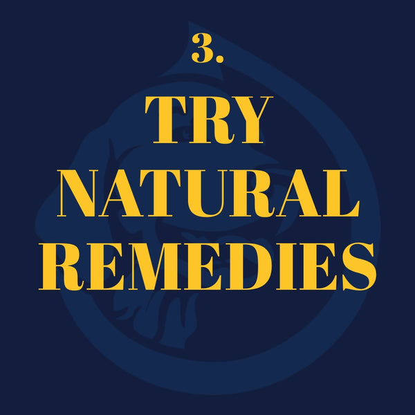 ALPHA | DROP for Dogs - Full Spectrum Oil