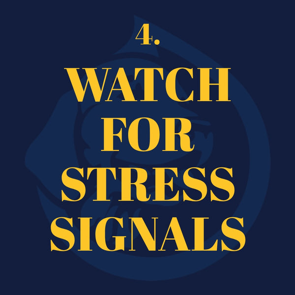 ALPHA | DROP for Dogs - Full Spectrum Oil